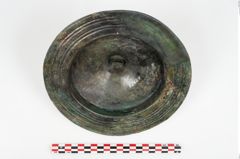 Foto von Bronzephalere (NHMW-PRAE-025824)